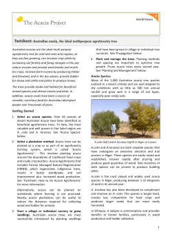 Fact sheet Australian Acacia