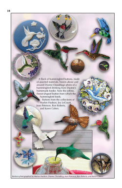 Humming Bird Buttons