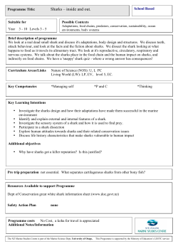 Shark Programme - University of Otago