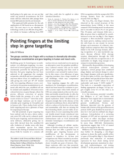 Pointing fingers at the limiting step in gene targeting