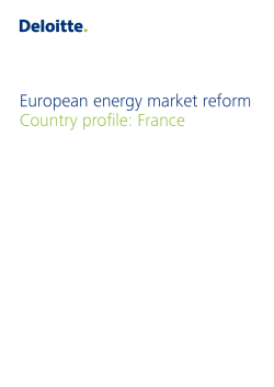 European energy market reform Country profile: France