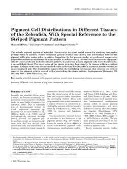 Pigment cell distributions in different tissues of the zebrafish, with