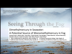 Dimethylmercury in Seawater: A Potential Source of