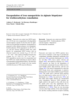 Encapsulation of iron nanoparticles in alginate - Fargo
