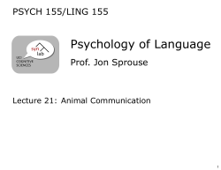 Psychology of Language