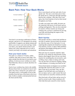Back Pain: How Your Back Works