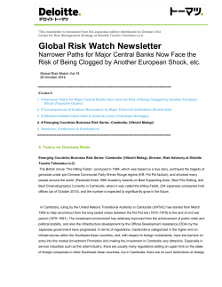 Emerging Countries Business Risk Series