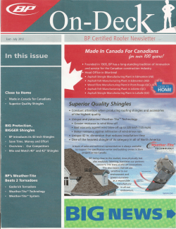 Ace Roofing Services