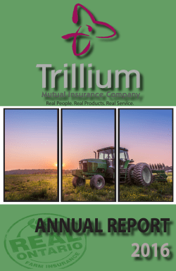 2016 Annual Report - Trillium Mutual Insurance