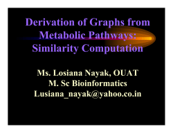 Derivation of Graphs from Metabolic Pathways