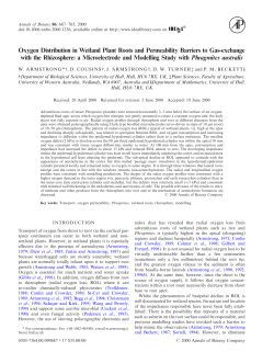 Oxygen Distribution in Wetland Plant Roots and