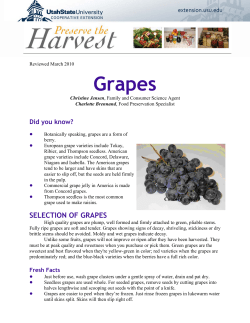 Preserving Grapes - DigitalCommons@USU