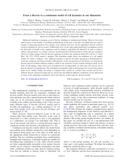 From a discrete to a continuum model of cell dynamics in one