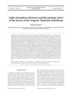 Light absorption efficiency and the package effect in the leaves of