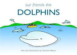 DOLPHINS - Dolphin Biology and Conservation