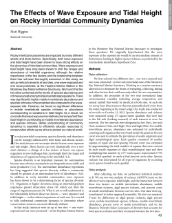 The Effects of Wave Exposure and Tidal Height on Rocky Intertidal