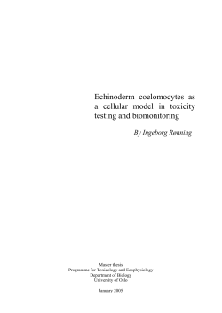 Echinoderm coelomocytes as a cellular model in toxicity testing and