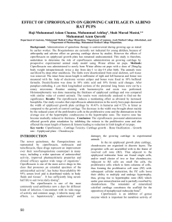 effect of ciprofoxacin on growing cartilage in albino rat pups