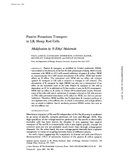 Passive Potassium Transport in LK Sheep Red Cells