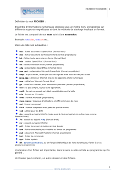 D&eacute;finition du mot FICHIER