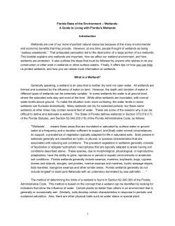 Florida State of the Environment -- Wetlands