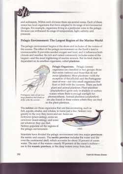 Pelagic Environment: The Largest Region of the Marine World