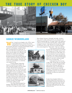 the true story of chicken boy