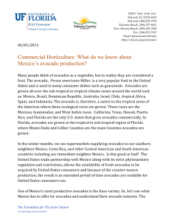 Commercial Horticulture: What do we know about Mexico`s avocado