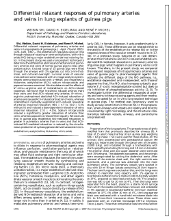 Differential relaxant responses of pulmonary arteries and veins in