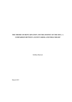 THE THEORY OF REINCARNATION AND THE JOURNEY
