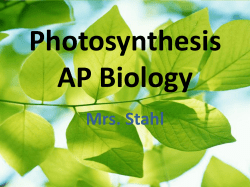 Photosynthesis AP Biology