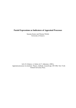 Facial Expressions as Indicators of Appraisal Processes
