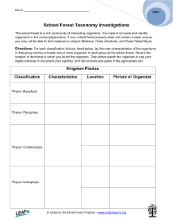 School Forest Taxonomy Investigations