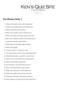 The Human Body 1