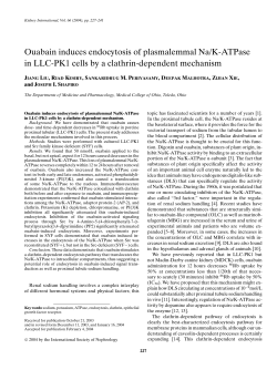 Ouabain induces endocytosis of plasmalemmal Na/K
