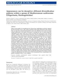 Appearances can be deceptive: different diversification