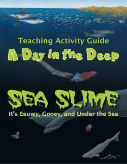 Teaching Activity Guide