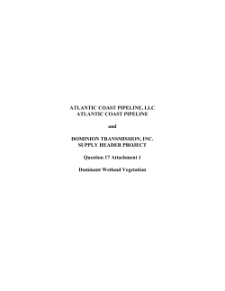 ATLANTIC COAST PIPELINE, LLC ATLANTIC COAST