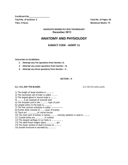 anatomy and physiology - BSS | Community College