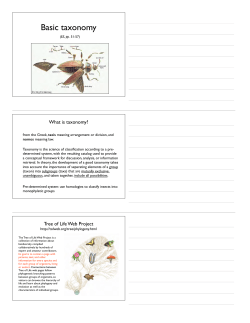 Lecture 7 (Insect Taxonomy) (handout)