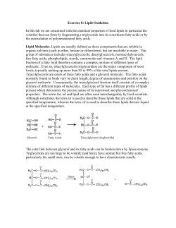 Exercise 8: Lipid Oxidation