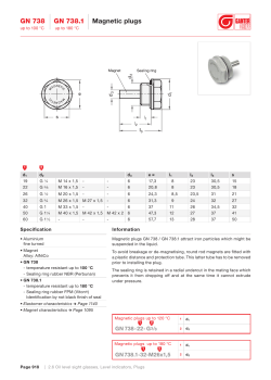 GN 738 GN 738.1 Magnetic plugs