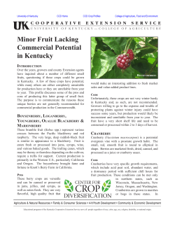 Minor Fruit Lacking Commercial Potential in Kentucky