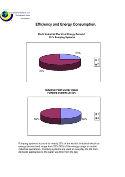 Pump Efficiency Report - Unique Polymer Systems
