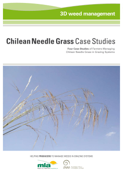 case studies grass