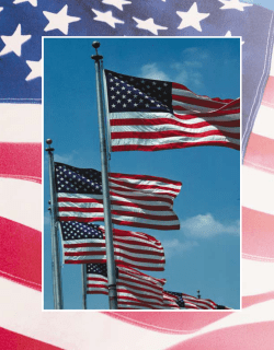 the origins of american government