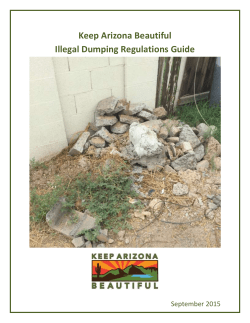 Statewide Illegal Dumping Regulations Guide