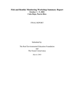 Cabo Rojo, Puerto Rico Workshop Report
