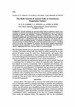 The Bulk Growth of Animal Cells in Continuous