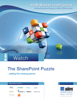 The SharePoint Puzzle